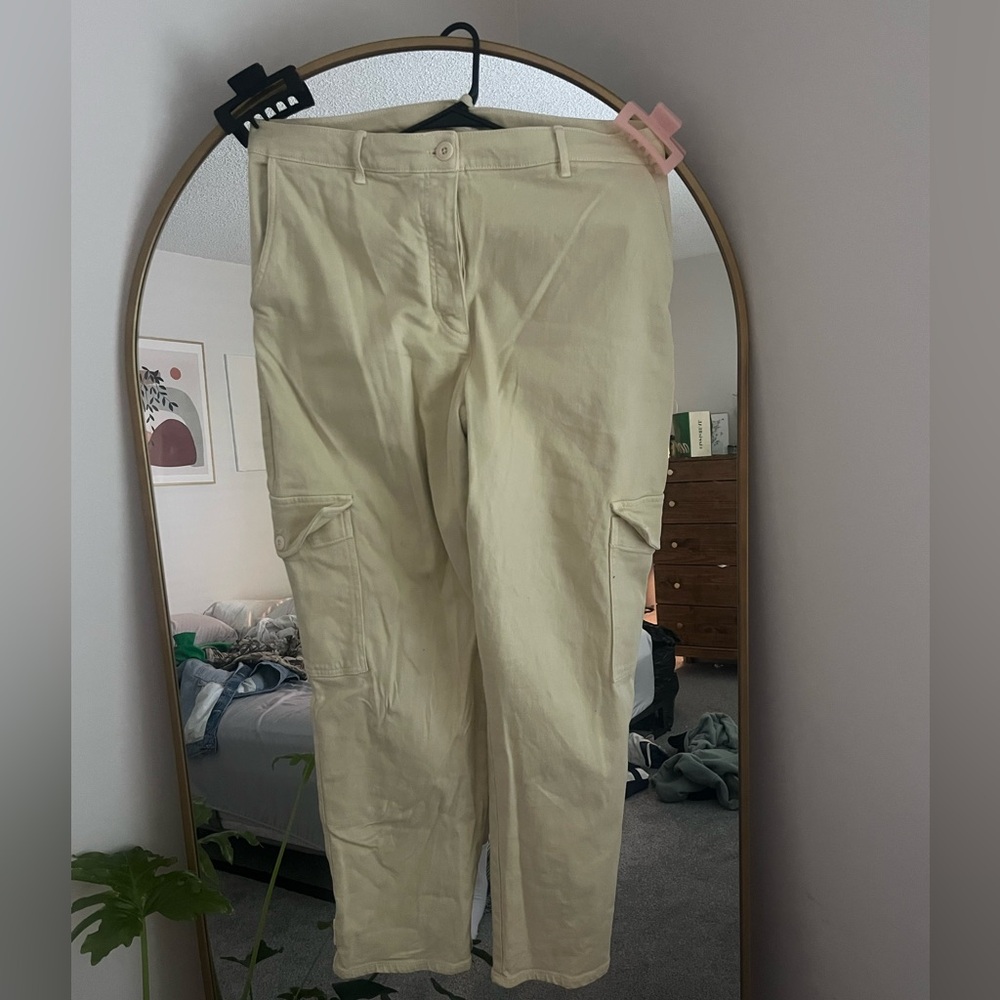 Aritzia cargo jogger